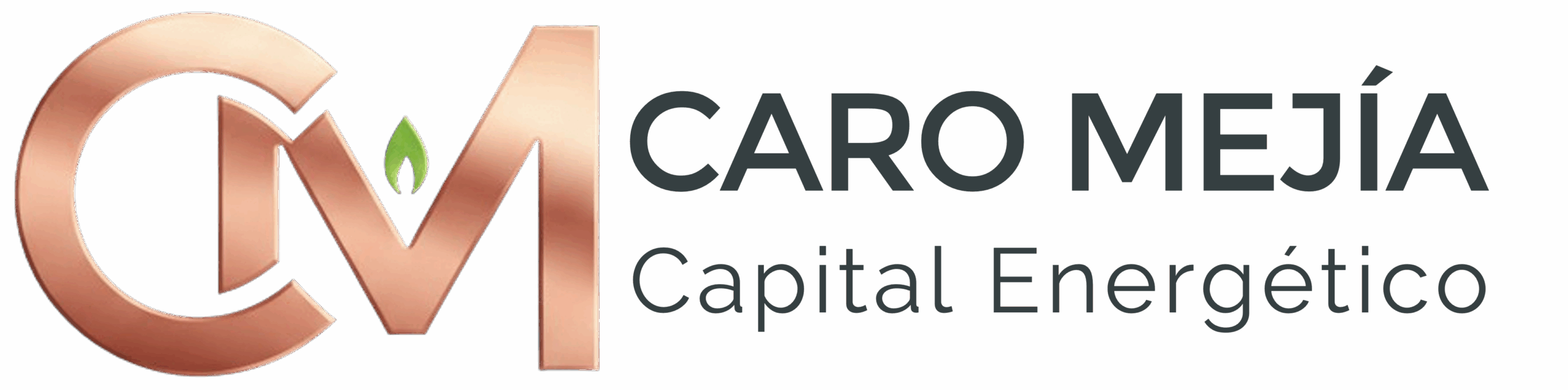 Caro Mejía Capital Energético